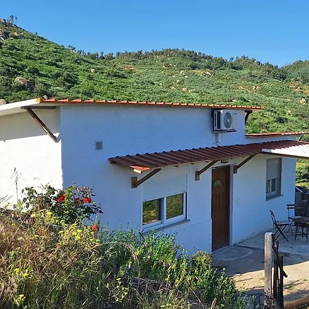 Farm - Quinta Da Povoa 別荘 *